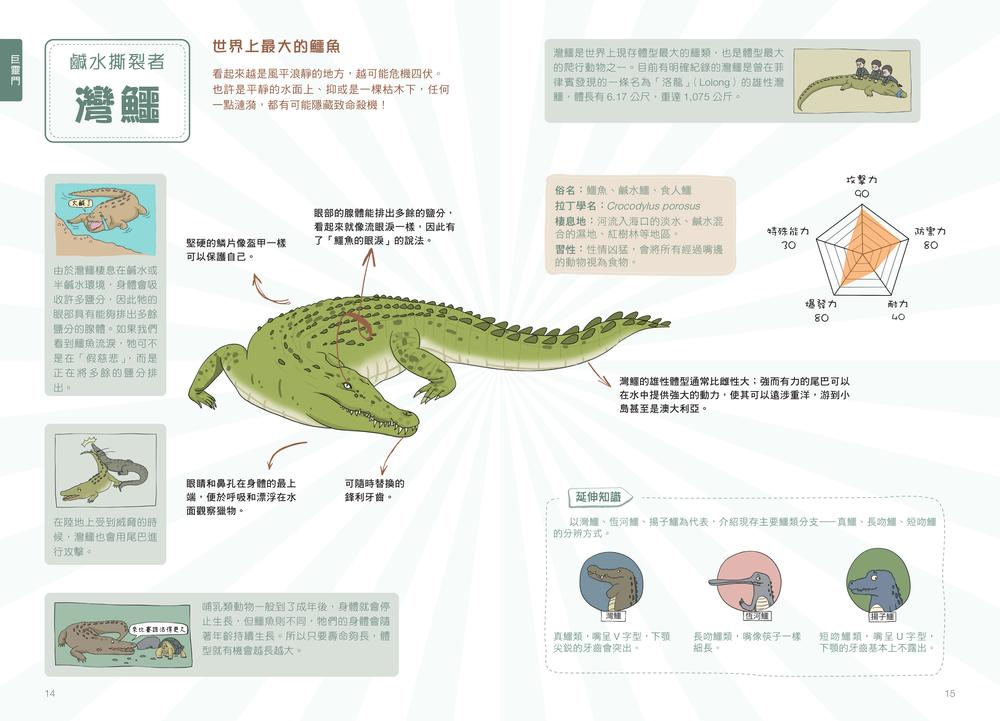 內頁
