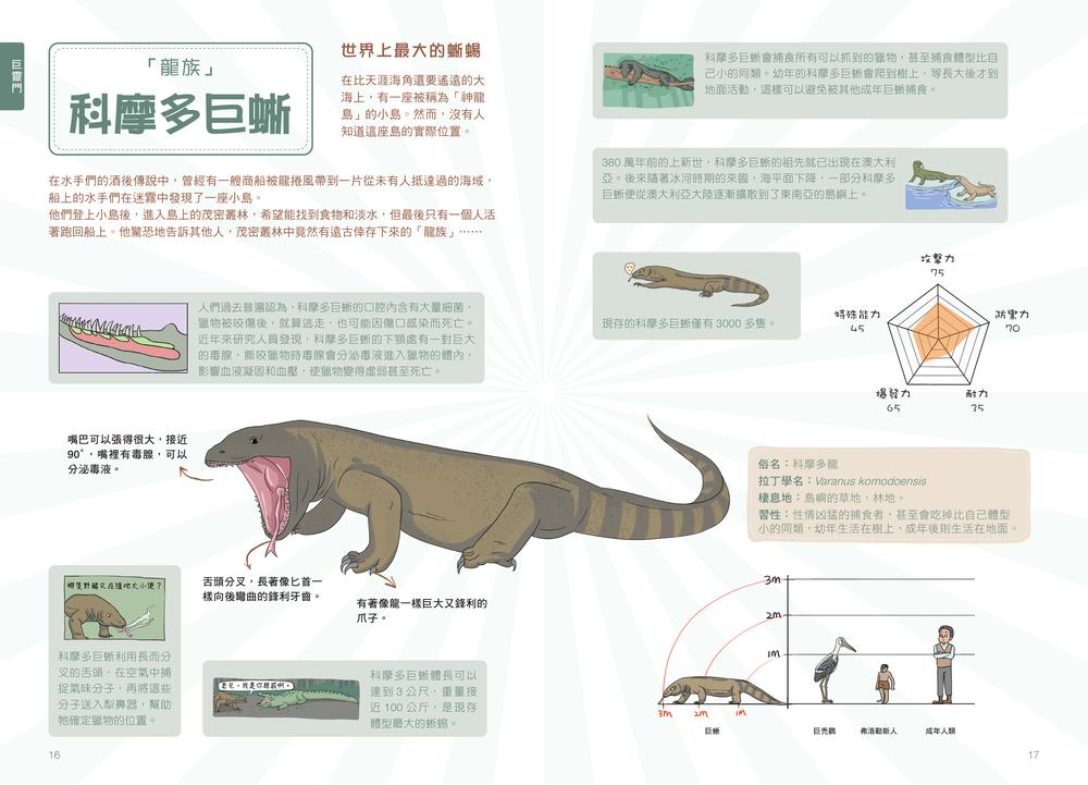 內頁