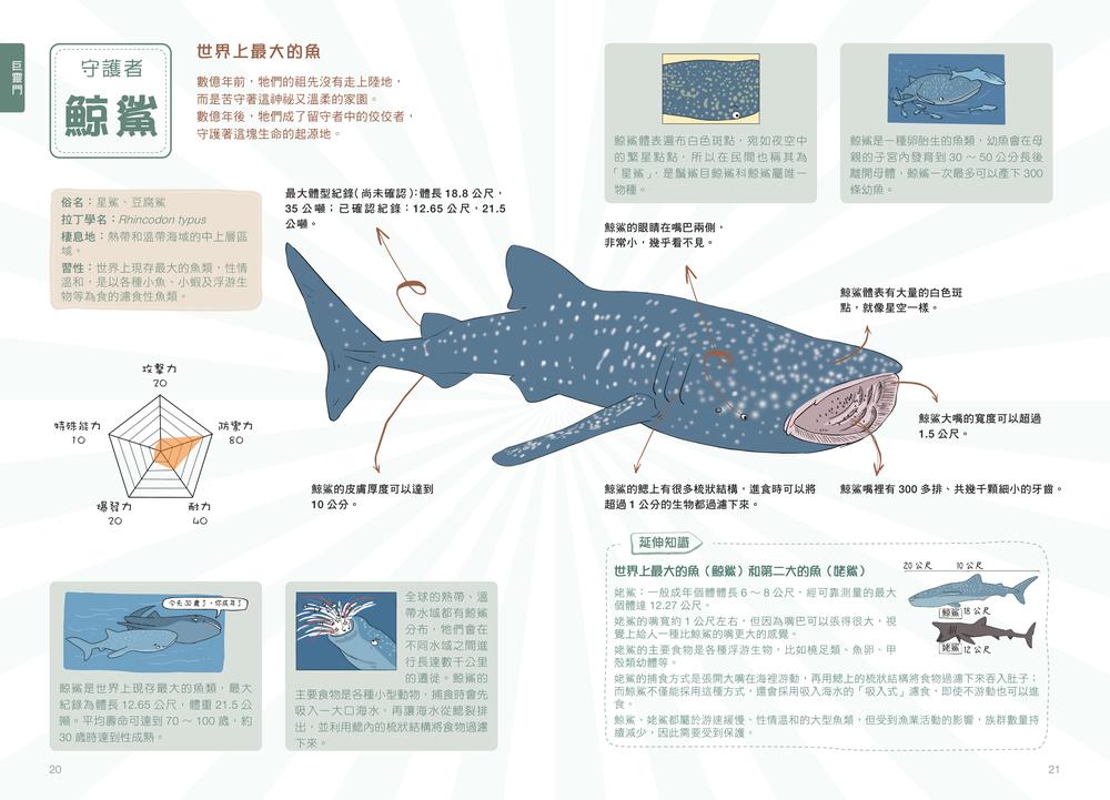 內頁