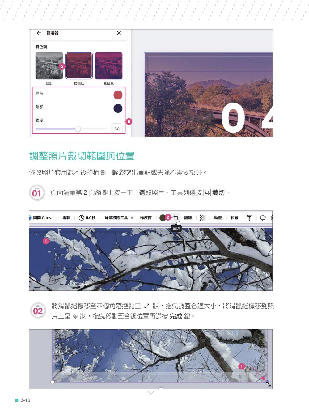 內頁