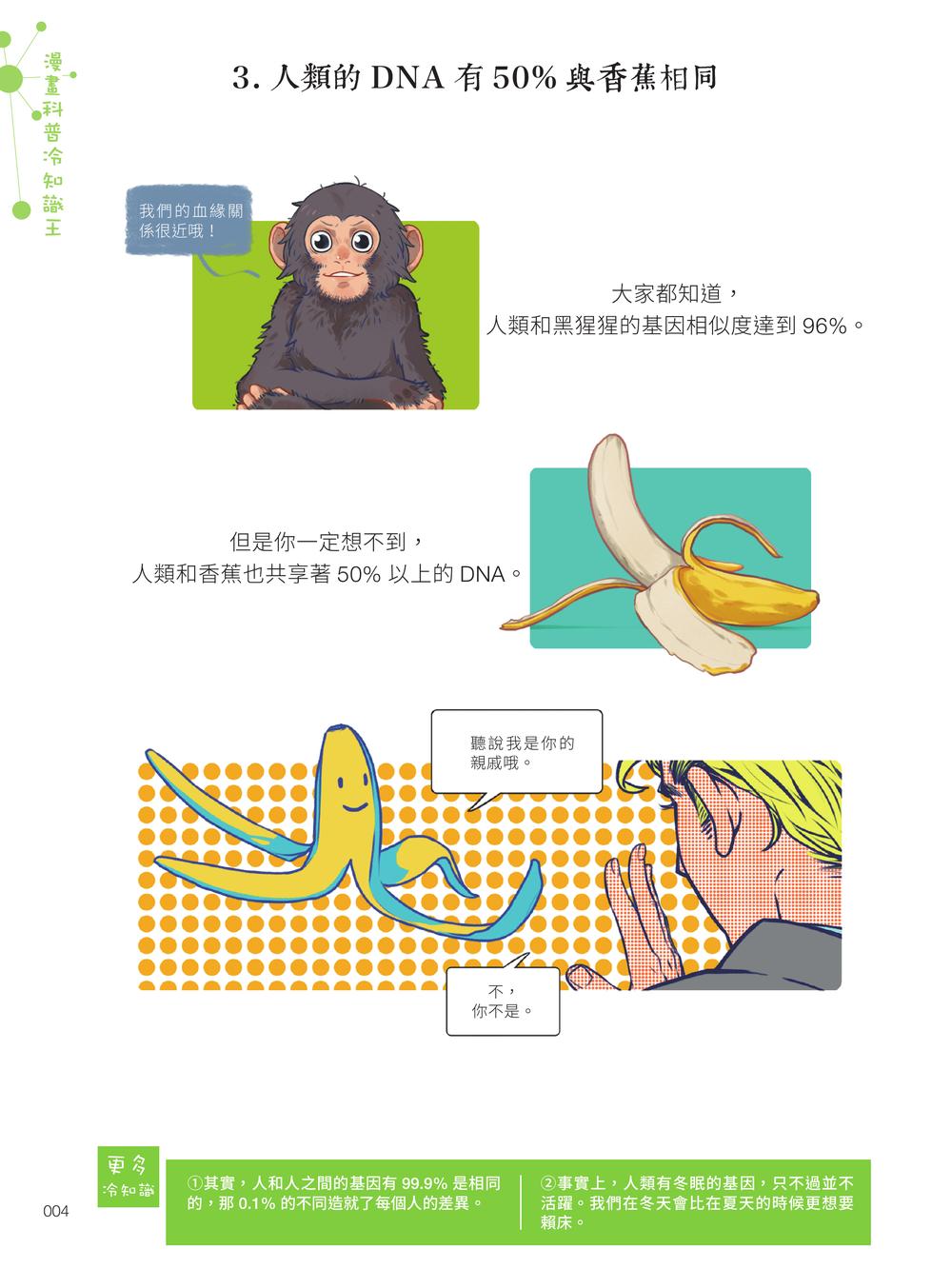 內頁