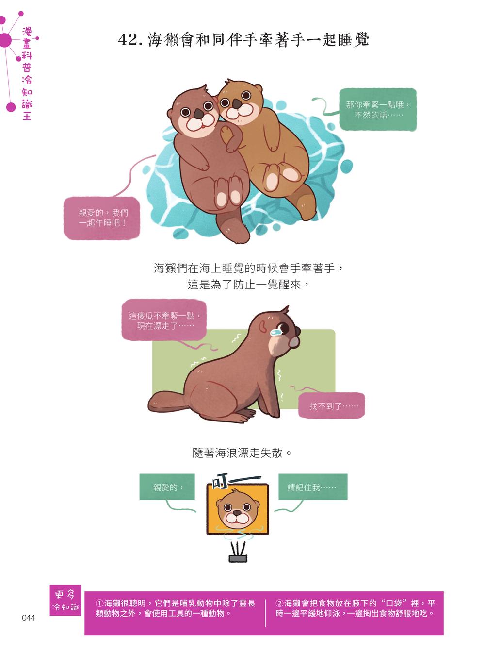 內頁