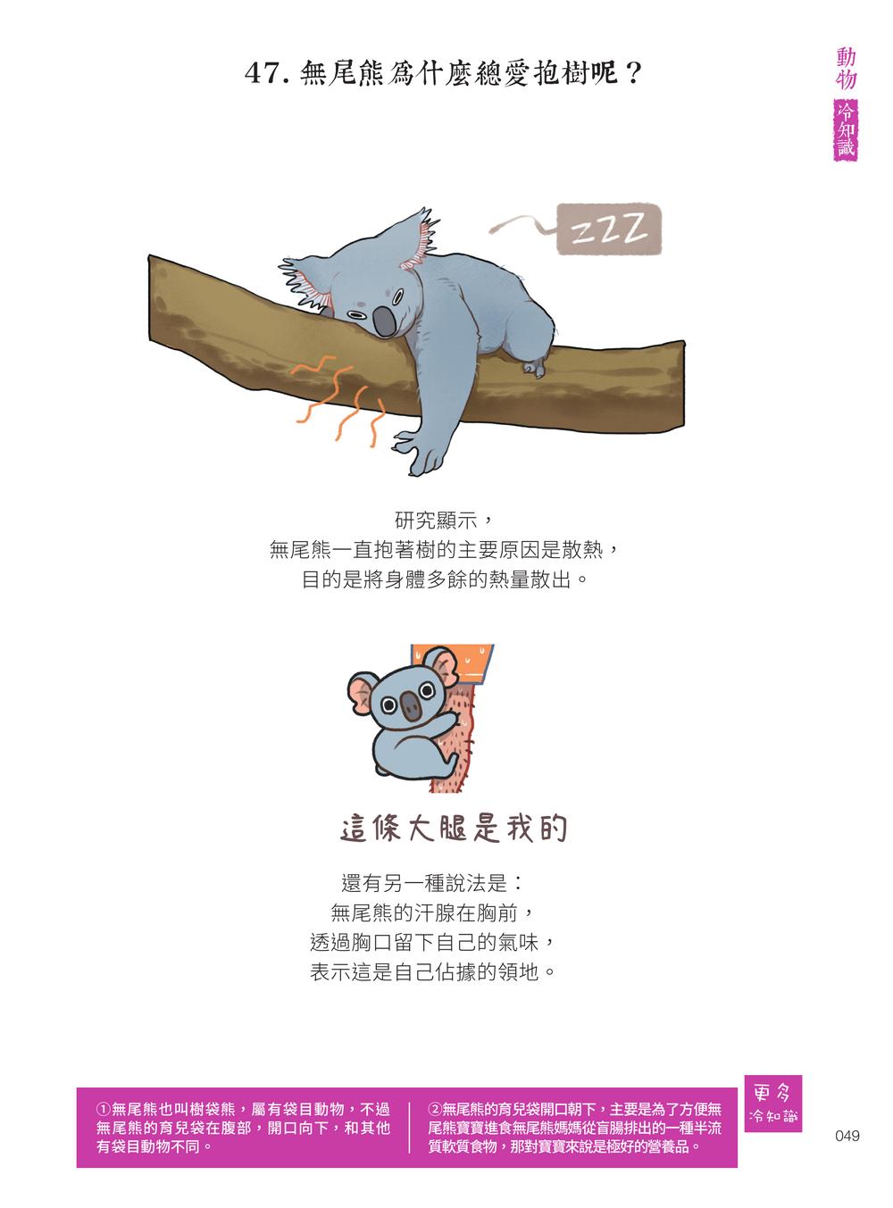 內頁