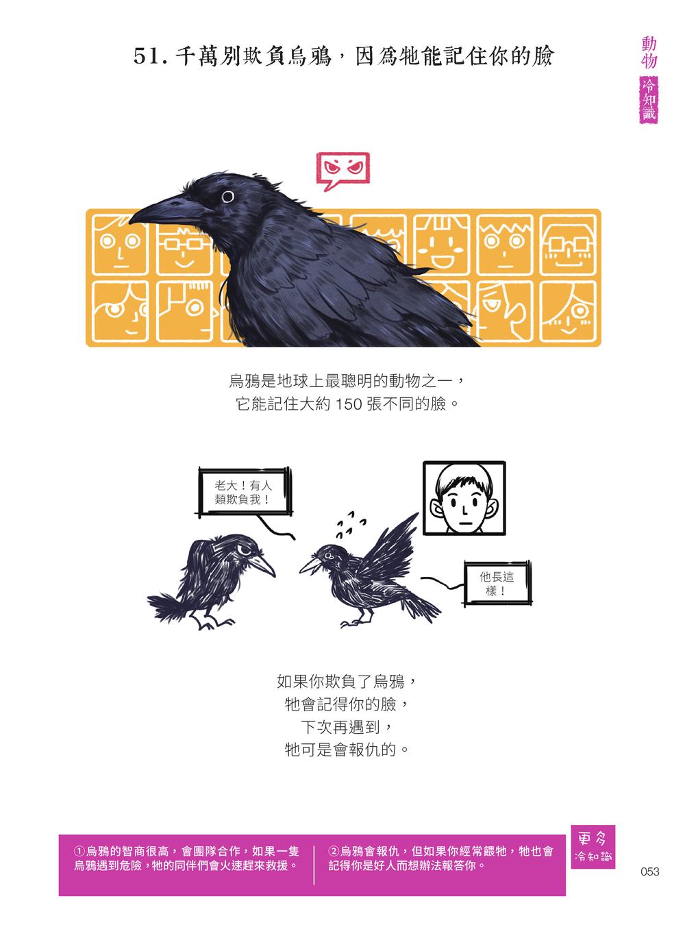 內頁