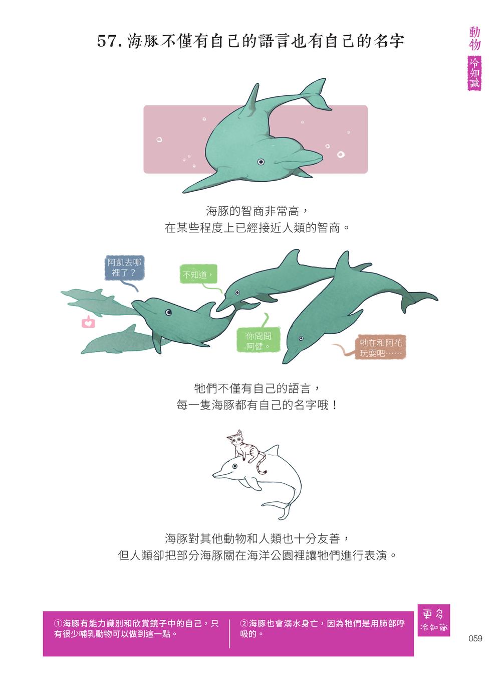 內頁