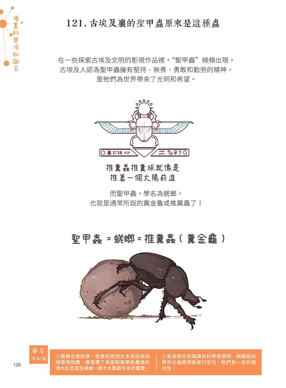 內頁